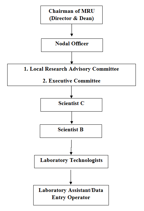 organogram